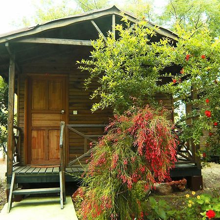 Готель Merhaba Bungalow Beykonak Номер фото